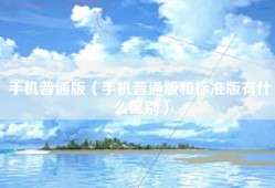 手机普通版（手机普通版和标准版有什么区别）