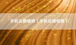 手机去哪维修(手机在哪维修)
