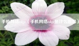手机网络edge（手机网络edge是什么意思）