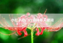 小红书热门行业种草关键词