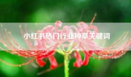 小红书热门行业种草关键词