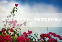 买平板还是买手机（平板买苹果还是华为）