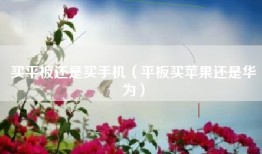 买平板还是买手机（平板买苹果还是华为）