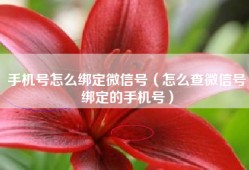 手机号怎么绑定微信号（怎么查微信号绑定的手机号）