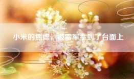 小米的焦虑，被雷军拿到了台面上