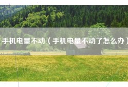 手机电量不动（手机电量不动了怎么办）