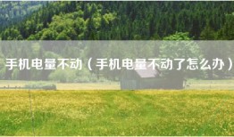 手机电量不动（手机电量不动了怎么办）
