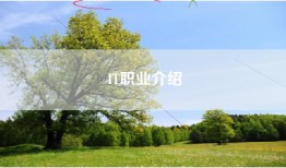 IT职业介绍