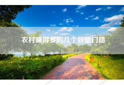 农村赚得多的几个致富门路