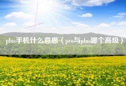 plus手机什么意思（pro与plus哪个高级）