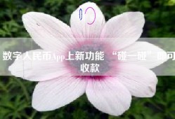 数字人民币App上新功能 “碰一碰”即可收款
