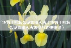 华为手机怎么设置输入法（华为手机怎么设置输入法切换方式快捷键）