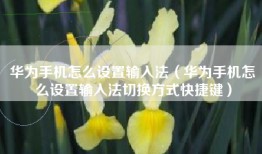 华为手机怎么设置输入法（华为手机怎么设置输入法切换方式快捷键）