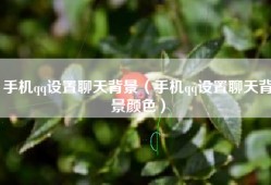 手机qq设置聊天背景（手机qq设置聊天背景颜色）