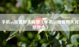 手机qq设置聊天背景（手机qq设置聊天背景颜色）