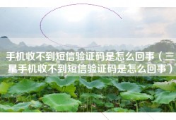手机收不到短信验证码是怎么回事（三星手机收不到短信验证码是怎么回事）