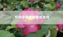 专利申请需要哪些费用
