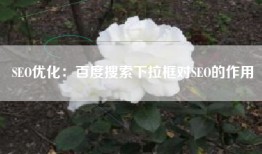 SEO优化：百度搜索下拉框对SEO的作用