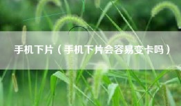 手机下片（手机下片会容易变卡吗）