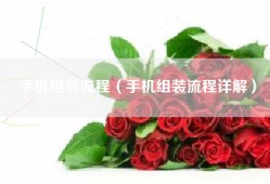 手机组装流程（手机组装流程详解）