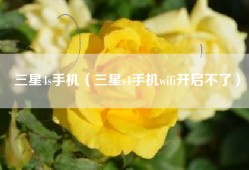 三星4s手机（三星s4手机wifi开启不了）