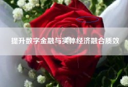 提升数字金融与实体经济融合质效