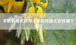 手机转格式软件（手机转格式软件哪个好）