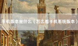 手机版本是什么（怎么看手机系统版本）