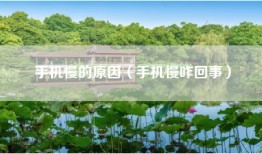 手机慢的原因（手机慢咋回事）
