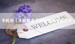 手机抢（手机抢走了我的爸爸漫画作文）