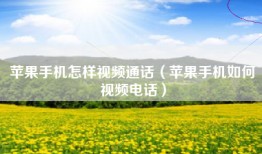 苹果手机怎样视频通话（苹果手机如何视频电话）