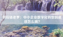 供应链老罗：中小企业数字化转型到底该怎么搞？