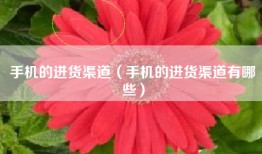 手机的进货渠道（手机的进货渠道有哪些）