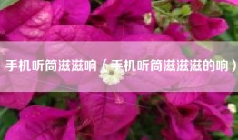 手机听筒滋滋响（手机听筒滋滋滋的响）