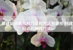 新建站点有几种方法和方法有哪些(创建站点的两种方式)