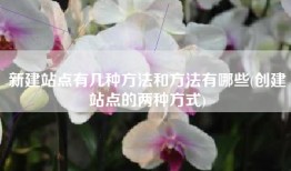 新建站点有几种方法和方法有哪些(创建站点的两种方式)