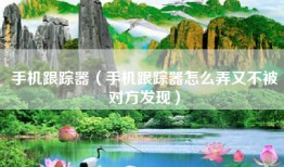 手机跟踪器（手机跟踪器怎么弄又不被对方发现）