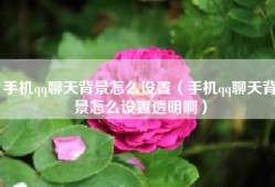 手机qq聊天背景怎么设置（手机qq聊天背景怎么设置透明啊）