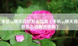 手机qq聊天背景怎么设置（手机qq聊天背景怎么设置透明啊）