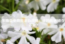 东南亚电商迎来新周期：谁的机遇,谁在弄潮？