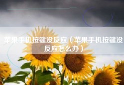 苹果手机按键没反应（苹果手机按键没反应怎么办）