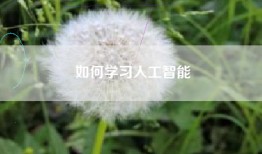 如何学习人工智能