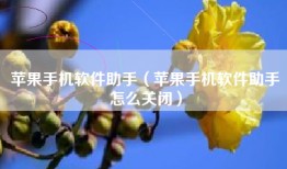 苹果手机软件助手（苹果手机软件助手怎么关闭）