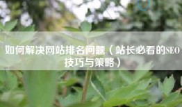 如何解决网站排名问题（站长必看的SEO技巧与策略）