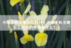 小米手机卡槽怎么打开（小米手机卡槽怎么打开的步骤是什么？）
