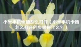 小米手机卡槽怎么打开（小米手机卡槽怎么打开的步骤是什么？）