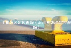 手机怎么定位追踪（vivo手机怎么定位追踪）