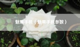 魅果手机（魅果手机参数）
