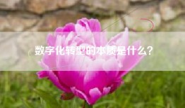数字化转型的本质是什么？