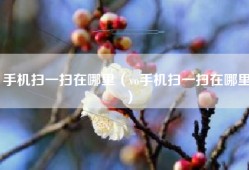 手机扫一扫在哪里（vo手机扫一扫在哪里）